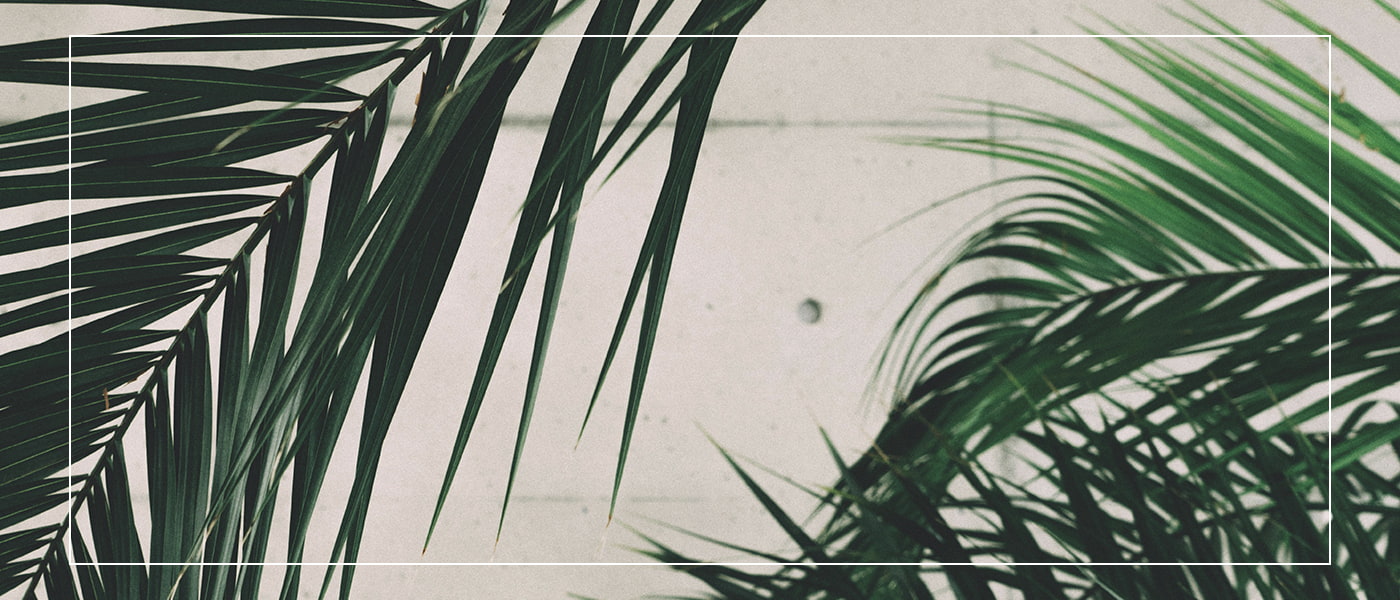 ボタニカル写真